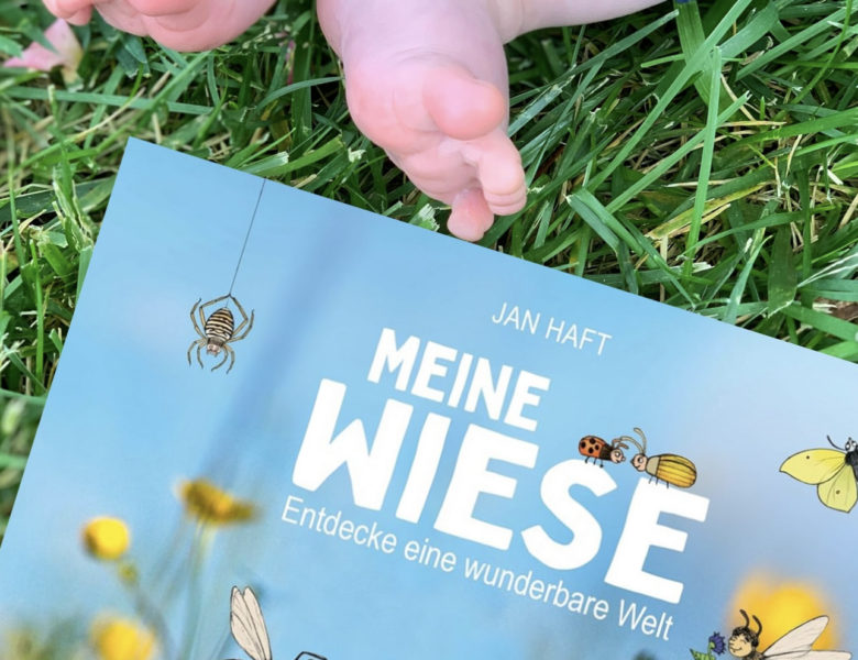 Rezension – „Meine Wiese. Entdecke eine wunderbare Welt“ von Jan Haft